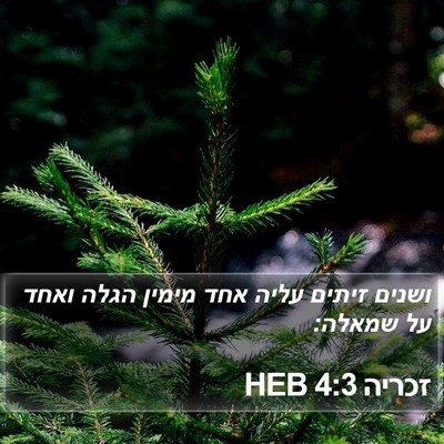 זכריה 4:3 HEB Bible Verse Image