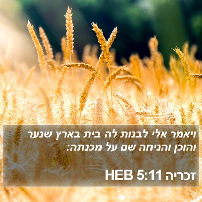 זכריה 5:11 HEB Bible Verse Image