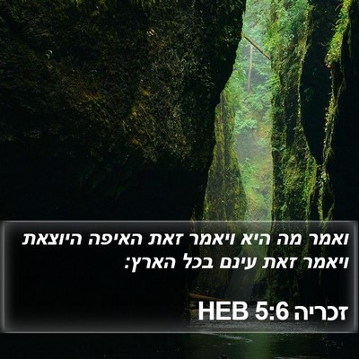 זכריה 5:6 HEB Bible Verse Image