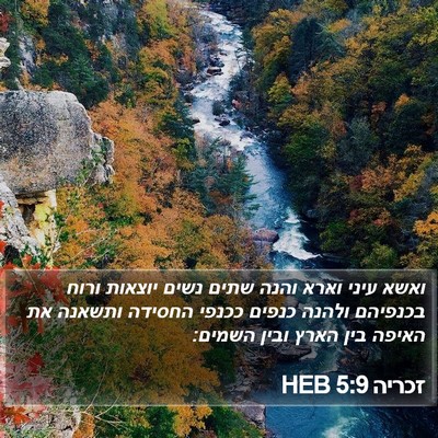 זכריה 5:9 HEB Bible Verse Image