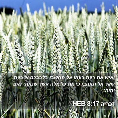 זכריה 8:17 HEB Bible Verse Image