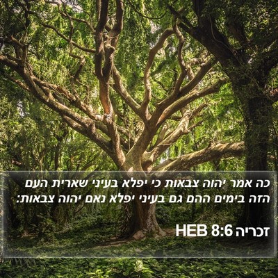 זכריה 8:6 HEB Bible Verse Image
