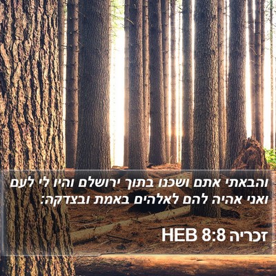 זכריה 8:8 HEB Bible Verse Image