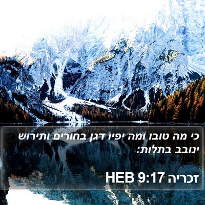 זכריה 9:17 HEB Bible Verse Image