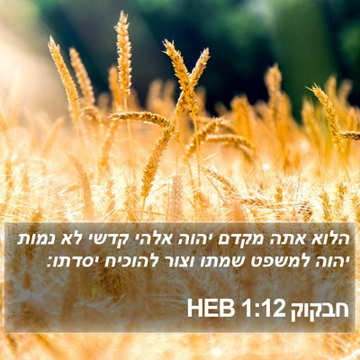 חבקוק 1:12 HEB Bible Verse Image