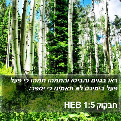 חבקוק 1:5 HEB Bible Verse Image