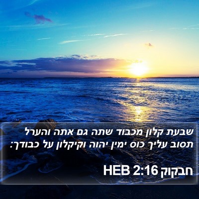חבקוק 2:16 HEB Bible Verse Image