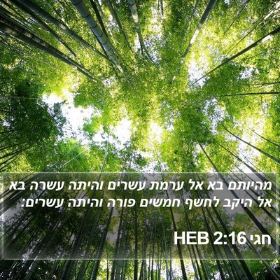 חגי 2:16 HEB Bible Verse Image