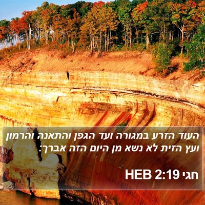 חגי 2:19 HEB Bible Verse Image