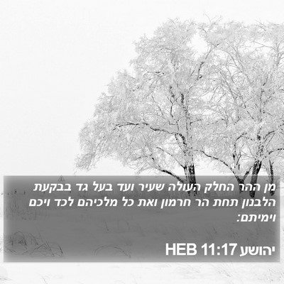 יהושע 11:17 HEB Bible Verse Image