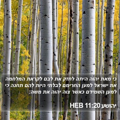 יהושע 11:20 HEB Bible Verse Image