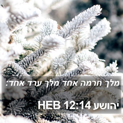 יהושע 12:14 HEB Bible Verse Image