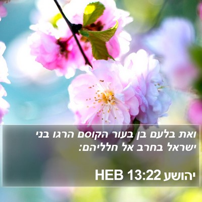 יהושע 13:22 HEB Bible Verse Image