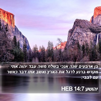 יהושע 14:7 HEB Bible Verse Image