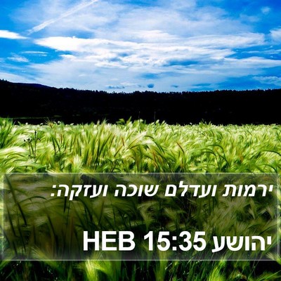 יהושע 15:35 HEB Bible Verse Image