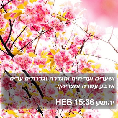 יהושע 15:36 HEB Bible Verse Image