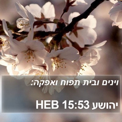 יהושע 15:53 HEB Bible Verse Image