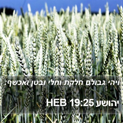 יהושע 19:25 HEB Bible Verse Image