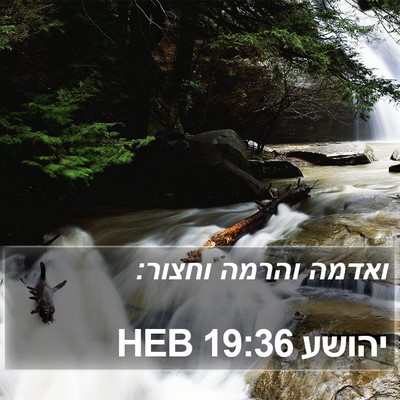 יהושע 19:36 HEB Bible Verse Image