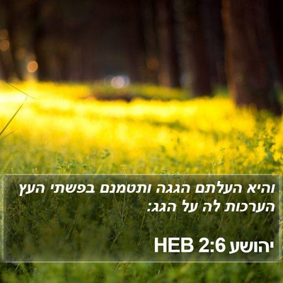 יהושע 2:6 HEB Bible Verse Image