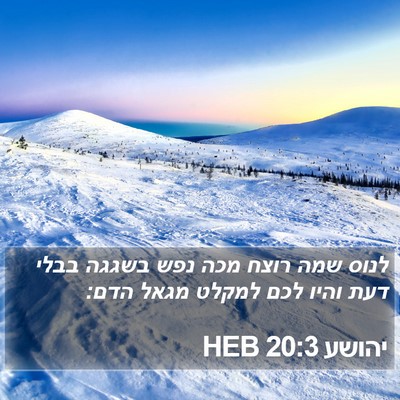 יהושע 20:3 HEB Bible Verse Image