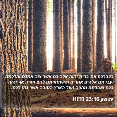 יהושע 23:16 HEB Bible Verse Image