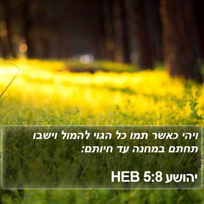 יהושע 5:8 HEB Bible Verse Image