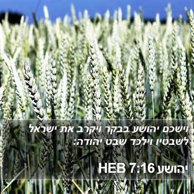 יהושע 7:16 HEB Bible Verse Image