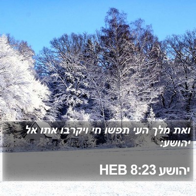 יהושע 8:23 HEB Bible Verse Image