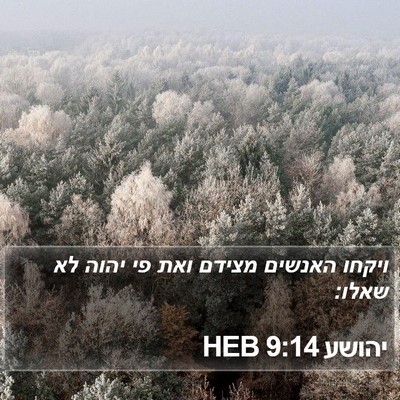 יהושע 9:14 HEB Bible Verse Image