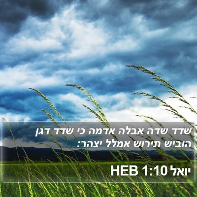 יואל 1:10 HEB Bible Verse Image