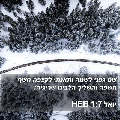 יואל 1:7 HEB Bible Verse Image