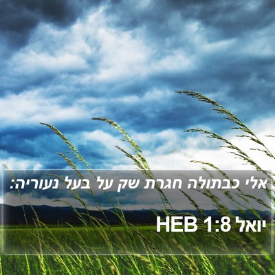 יואל 1:8 HEB Bible Verse Image