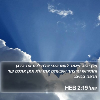 יואל 2:19 HEB Bible Verse Image
