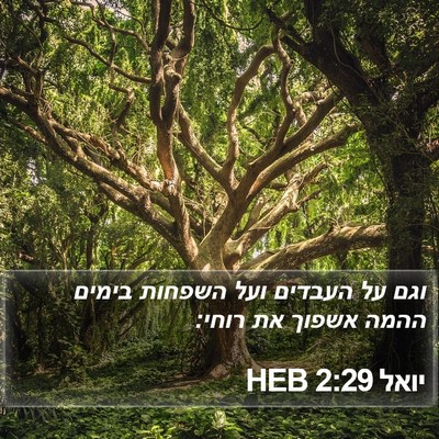 יואל 2:29 HEB Bible Verse Image