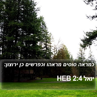 יואל 2:4 HEB Bible Verse Image