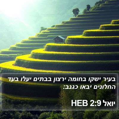 יואל 2:9 HEB Bible Verse Image