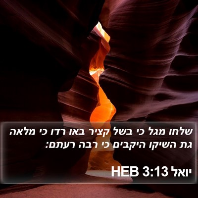 יואל 3:13 HEB Bible Verse Image