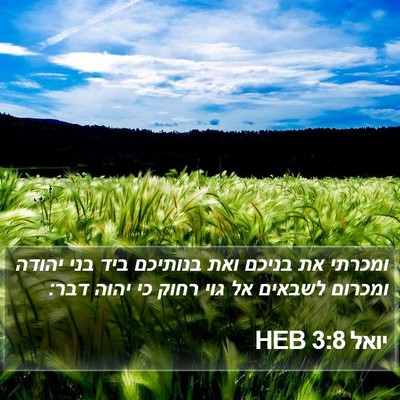 יואל 3:8 HEB Bible Verse Image