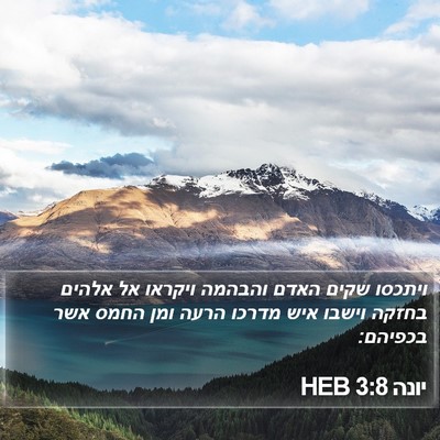 יונה 3:8 HEB Bible Verse Image
