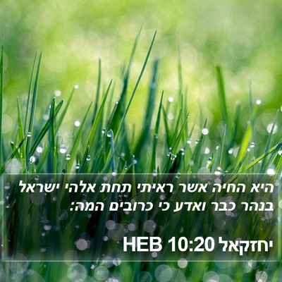 יחזקאל 10:20 HEB Bible Verse Image