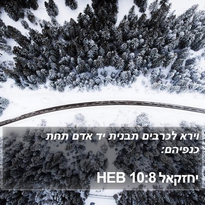 יחזקאל 10:8 HEB Bible Verse Image