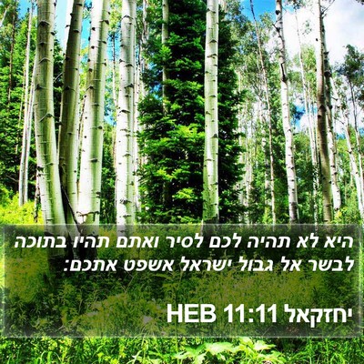 יחזקאל 11:11 HEB Bible Verse Image