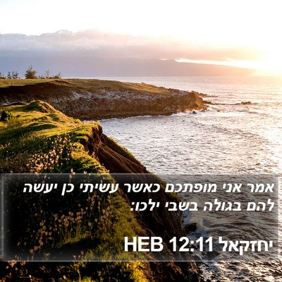 יחזקאל 12:11 HEB Bible Verse Image