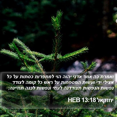 יחזקאל 13:18 HEB Bible Verse Image