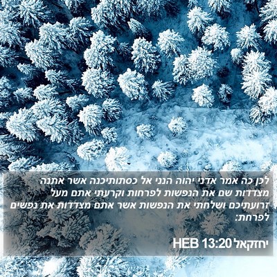 יחזקאל 13:20 HEB Bible Verse Image