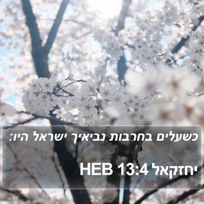 יחזקאל 13:4 HEB Bible Verse Image