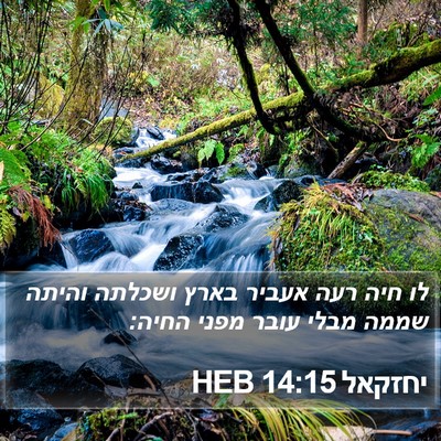 יחזקאל 14:15 HEB Bible Verse Image