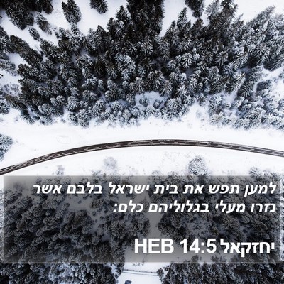 יחזקאל 14:5 HEB Bible Verse Image