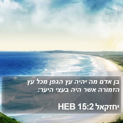 יחזקאל 15:2 HEB Bible Verse Image